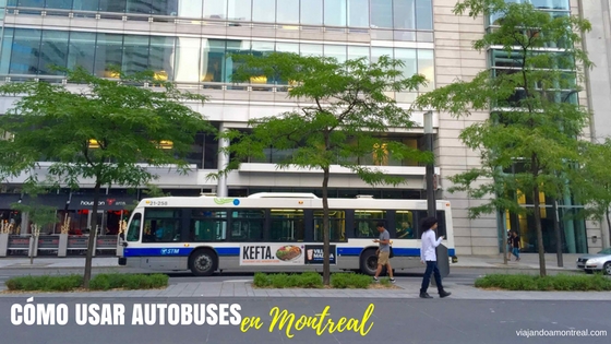 autobuses en montreal downtown